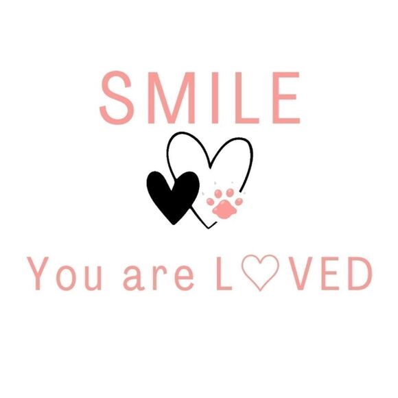 Mom Cat Themed Mystery Fun Box for Kitty Moms and Cats - Picture 9 of 10